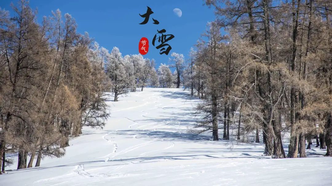 微信图片_20221202171745.jpg