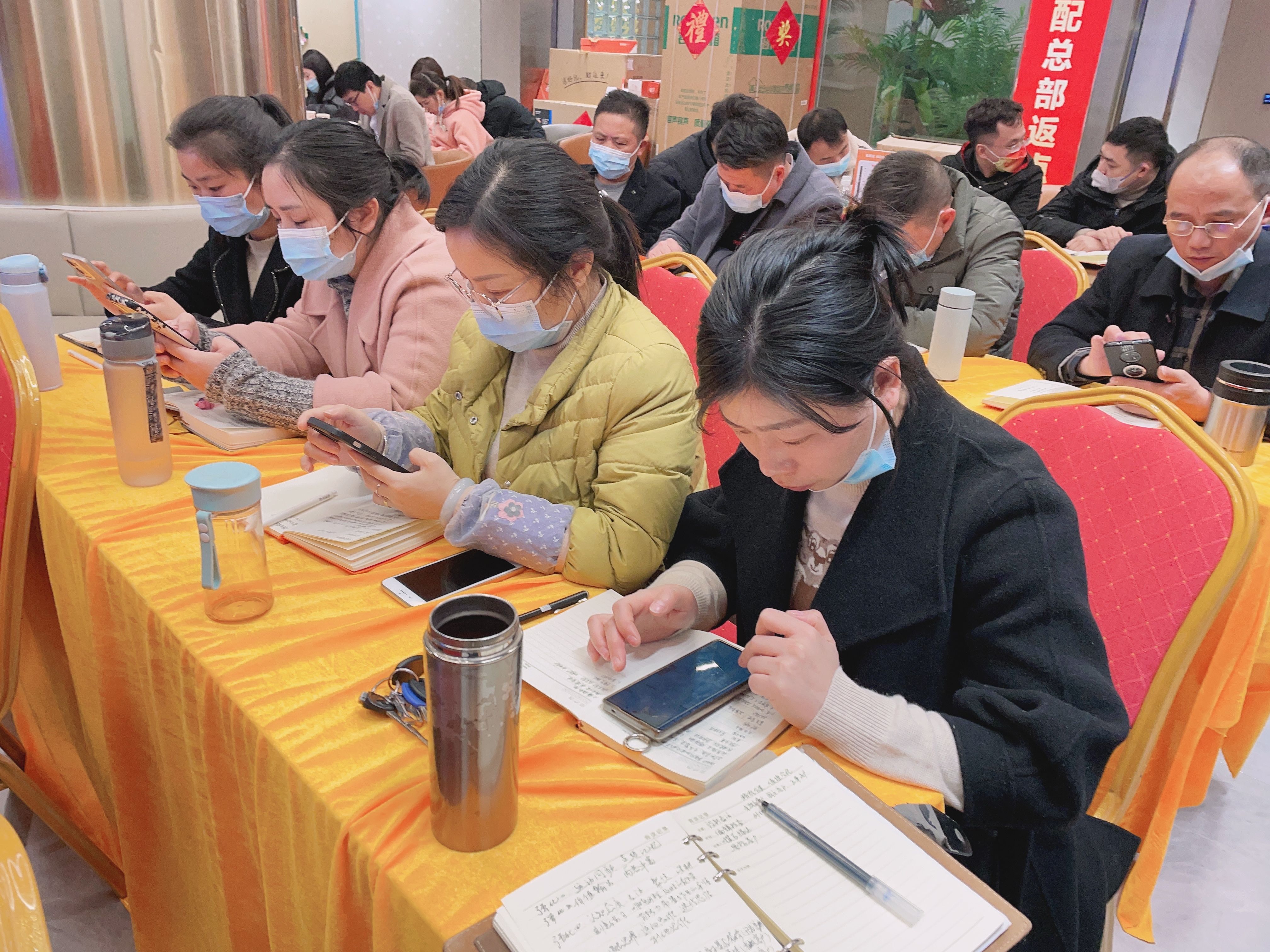 宜春圣诞鸟 (8).jpg